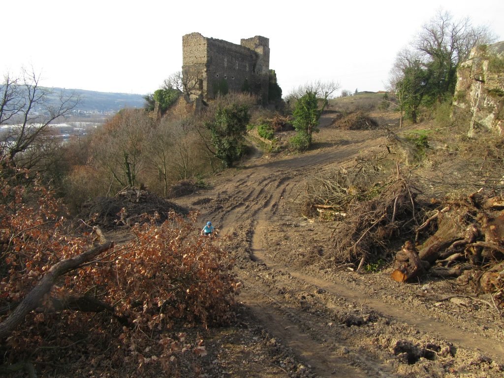 Vue dégagée sur le vieux château de Seyssuel